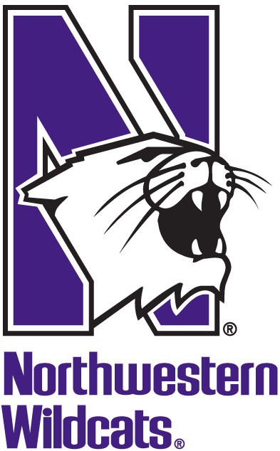 Northwestern Wildcats 1981-Pres Alternate Logo v2 DIY iron on transfer (heat transfer)